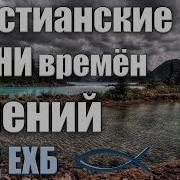 Словно Лилия Степная