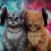 Песня Которую Пели Котята