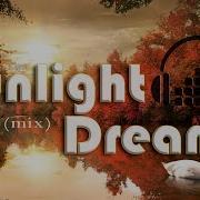 Sunlight Dreams Album