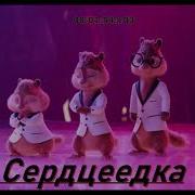 Сердцеедка Пародия Бурундуки Поют Сердцеедка