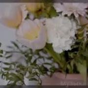 Посвящается Всем Женщинам К 8 Марта Вы Лучше Всех