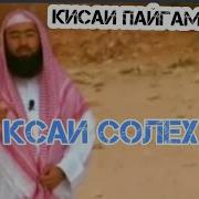 Кисаи Пайгамбарон Сулаймон То Охир
