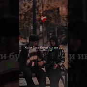 Сиё Чашма Лали Лабонт Ширин