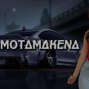 Elsen Pro Motamakena