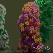 Они Идут К Вам Бодрость Здоровье