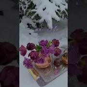 Доброе Морозное Утро