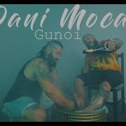 Dani Mocanu Gunoi