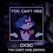 You Can T Hide Remix