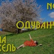 Алла Пиксель Одуванчики