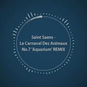Tprmx Saint Saens Le Carnaval Des Animaux Carnival Of The Animals Aquarium Remix