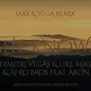 She Knows Jaxx Vega Extended Remix Dimitri Vegas Like Mike Afro Bros