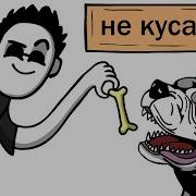 Злойман Про Животных