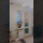 Заставка Универ Новая Общага 2016 2018