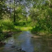 Настоящий Релакс Звуки Природы