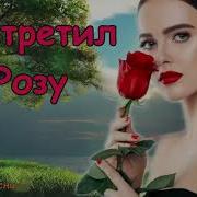 Курнуц Я Встретил Розу