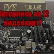 Дешевая Китайская Материнская Плата На 12 Видеокарт Dvr B250 Btc За 8000 Руболей