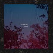 Triticum Wrong