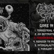 Colostomy Spacebag Gore In Space Full Ep 2019 Goregrind