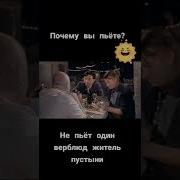 Не Пьет Один Верблюд Житель Пустыни