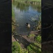 Живи По Совести Пацан