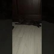 Стой Кто Идёт Никто Не Проскочит Никто Не Пройдёт