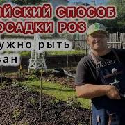 Садовник Ты А Роза Я
