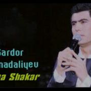 Sardor Mamadaliyev Gulba Shakar 2017 Сардор Мамадалиыев Гулба Шакар 2017