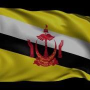 2K World Flag Database Part 1 After Effects Project Files Videohive