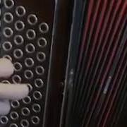 Адыгейская Гармошка Миллионы Алых Роз