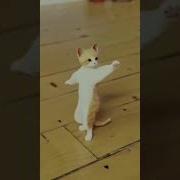 М М М Салатик