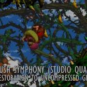 Stickerbrush Symphony From Donkey Kong Country