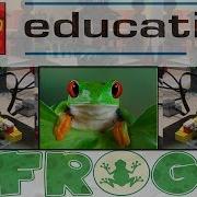 Wedo 2 0 Лягушка Lego Education Frog