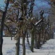 Прага Чехия Праздник Трёх Королей И Рождественские Колядки