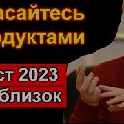 Соловей Юрочка Шатунов