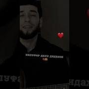 Нилуфар Ту Зеби Дунёи