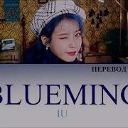 Ii Blueming Live На Русском