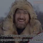 Homay Хомай Русский Перевод Всех Куплетов И Припевов