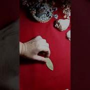 Как Отвязаться От Навязчивого Человека