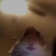 Музыка Из Пони Тауна