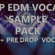 Free Bigroom House Pre Drop Vocals Sample Pack