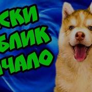 Песня Бублика Когда Он Еще Был Маленький