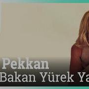 Ajda Pekkan Yere Bakan Yürek Yakan