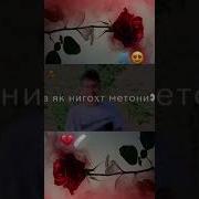 Мезана Дил Барои Ть