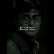 Welcome To The Final Show Edit Audio