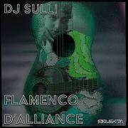 Flamenco Dalliance Dj Shakthe Remix Dj Sulli