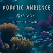 Aquatic Ambience Slowed