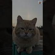 Я Прошу Боже Мой Ты Храни