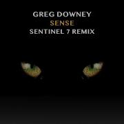 Sense Sentinel 7 Remix