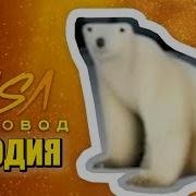 Песня Клип Про Мем Из 2026 Года