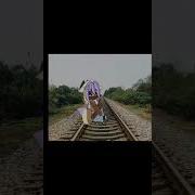 Чага Чага Чага Чу Чу